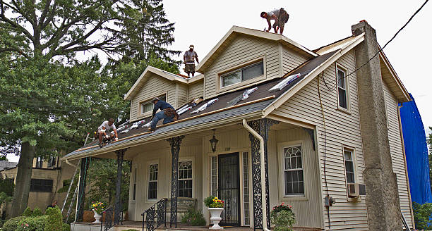 Best Storm Damage Roof Repair  in Plattsburgh, NY